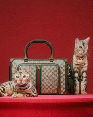 tessuti con animali gucci|Le collezioni pets (anche in viaggio) firmate dalle maison della .